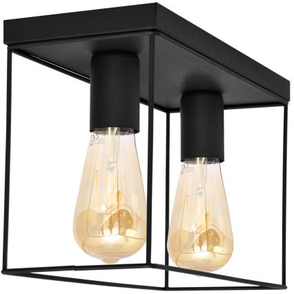 Iluminação de teto FINN 2xE27/15W/230V preto