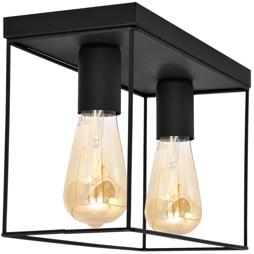 Iluminação de teto FINN 2xE27/15W/230V preto