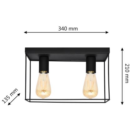 Iluminação de teto FINN 2xE27/15W/230V preto