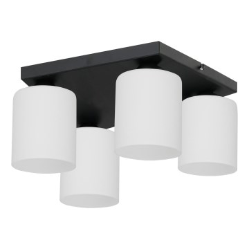 Iluminação de teto FORT 4xE27/60W/230V