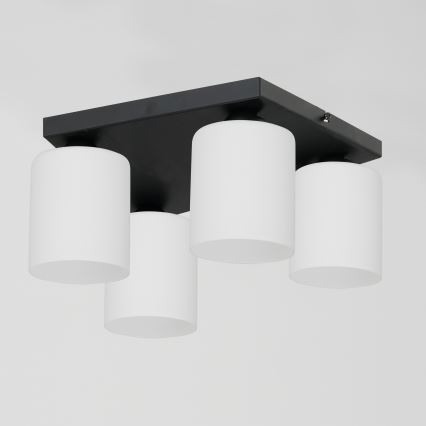 Iluminação de teto FORT 4xE27/60W/230V