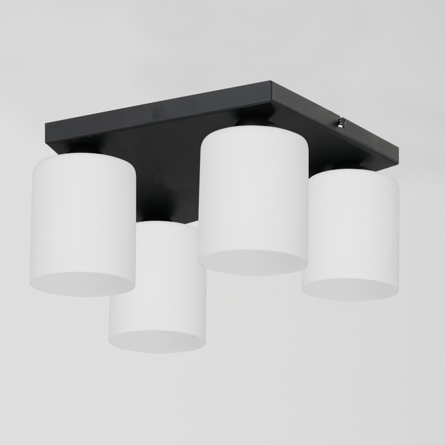 Iluminação de teto FORT 4xE27/60W/230V