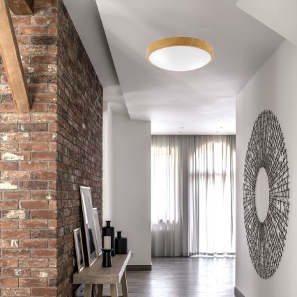 Iluminação de teto JONAS 2xE27/60W/230V d. 36 cm