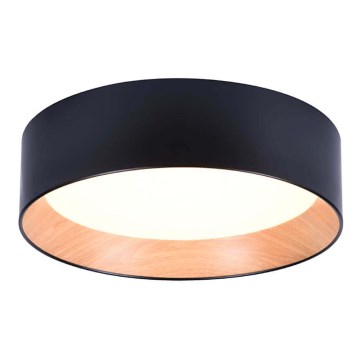 Iluminação de teto LED ARENA LED/43W/230V