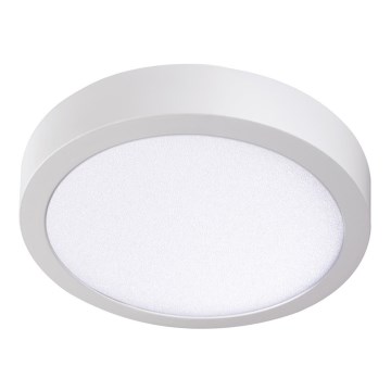 Iluminação de teto LED CARSA LED/24W/230V 4000K branca d. 30 cm