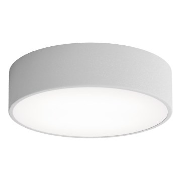 Iluminação de teto LED CLEO LED/24W/230V 3000K diâmetro 30 cm cinzento