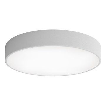 Iluminação de teto LED CLEO LED/69W/230V 4000K diâmetro 50 cm cinzento