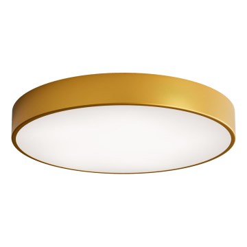 Iluminação de teto LED CLEO LED/69W/230V 4000K diâmetro 60 cm dourado