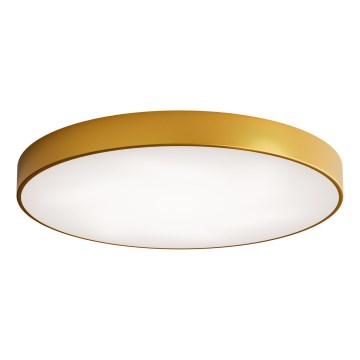 Iluminação de teto LED CLEO LED/96W/230V 3000K diâmetro 80 cm dourado