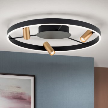 Iluminação de teto LED com regulação BERLIN LED/50W/230V preto/dourado