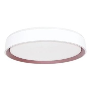 Iluminação de teto LED com regulação com controlo por voz OPAL LED/48W/230V 2700-6500K branco + comando
