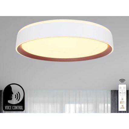 Iluminação de teto LED com regulação com controlo por voz OPAL LED/48W/230V 2700-6500K branco + comando