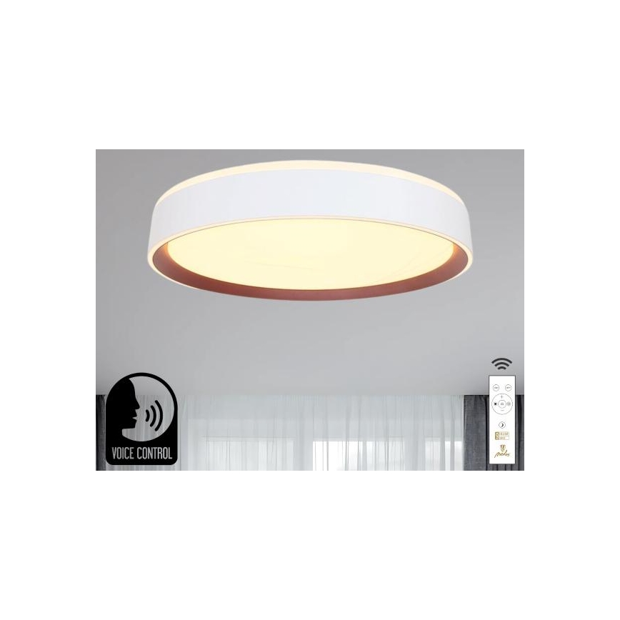 Iluminação de teto LED com regulação com controlo por voz OPAL LED/48W/230V 2700-6500K branco + comando