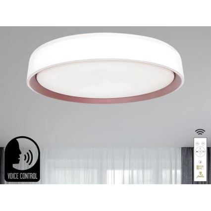Iluminação de teto LED com regulação com controlo por voz OPAL LED/48W/230V 2700-6500K branco + comando