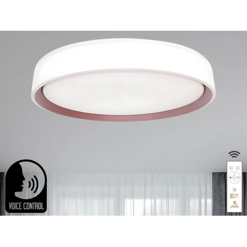 Iluminação de teto LED com regulação com controlo por voz OPAL LED/48W/230V 2700-6500K branco + comando