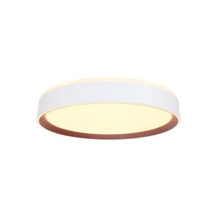 Iluminação de teto LED com regulação com controlo por voz OPAL LED/48W/230V 2700-6500K branco + comando
