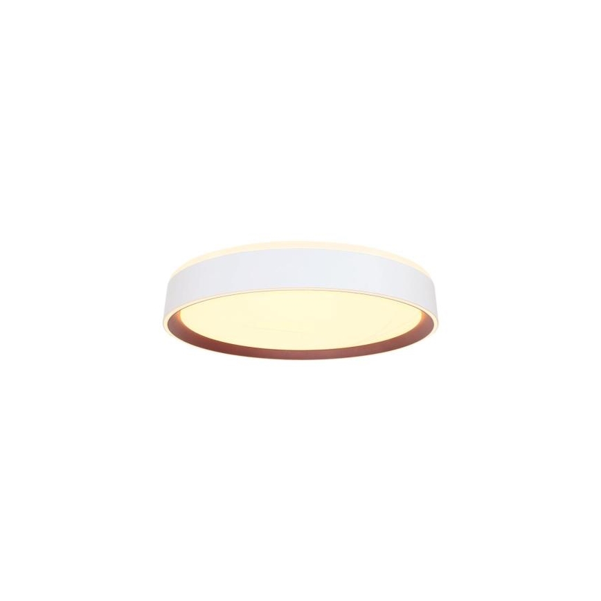 Iluminação de teto LED com regulação com controlo por voz OPAL LED/48W/230V 2700-6500K branco + comando