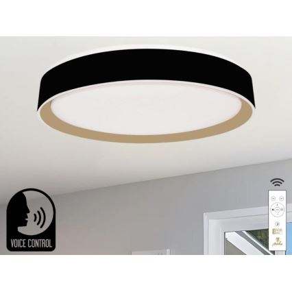 Iluminação de teto LED com regulação com controlo por voz OPAL LED/48W/230V 2700-6500K preto + comando
