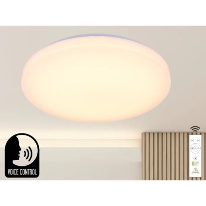 Iluminação de teto LED com regulação com controlo por voz OPAL LED/48W/230V 2700-6500K branco + comando