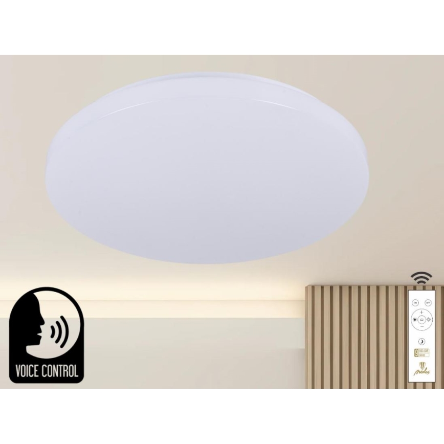 Iluminação de teto LED com regulação com controlo por voz OPAL LED/48W/230V 2700-6500K branco + comando