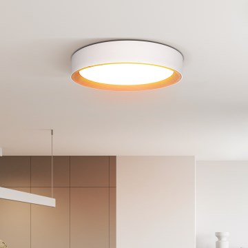 Iluminação de teto LED com regulação LARIOS LED/48W/230V 3000-6500K diâmetro 39 cm branco + comando