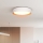 Iluminação de teto LED com regulação LARIOS LED/48W/230V 3000-6500K diâmetro 39 cm branco + comando