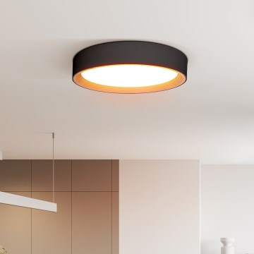 Iluminação de teto LED com regulação LARIOS LED/48W/230V 3000-6500K diâmetro 39 cm preto + comando