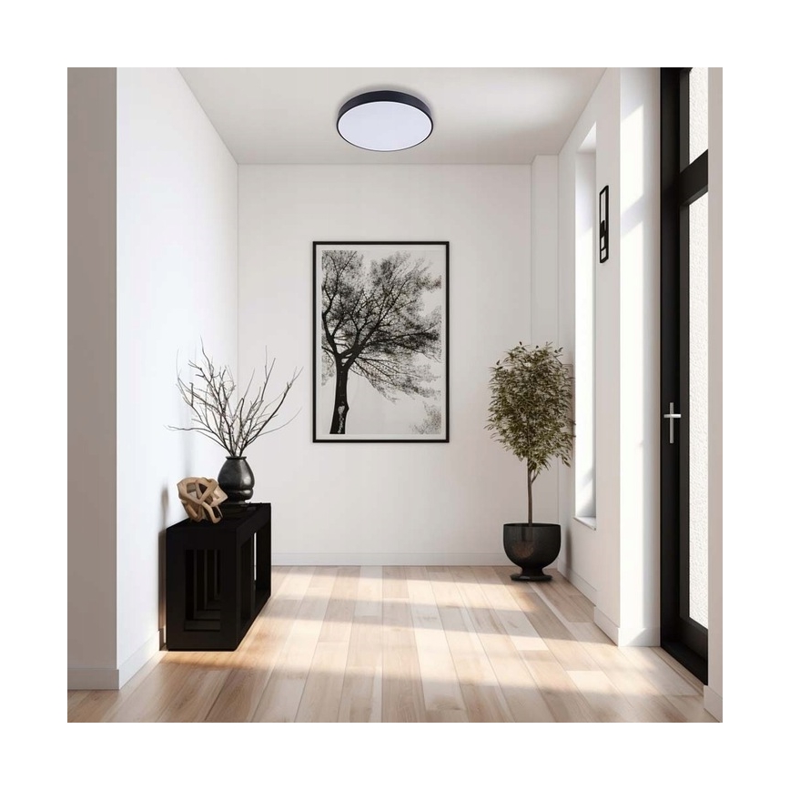 Iluminação de teto LED com regulação LED/40W/230V 3000-6500K diâmetro 40 cm preto + comando