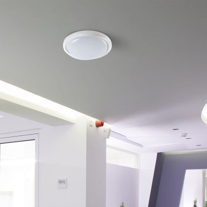 Iluminação de teto LED com regulação LED/60W/230V 3000-6500K 49,2 cm branco + comando