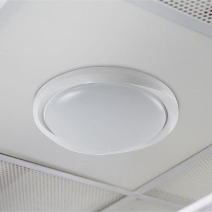 Iluminação de teto LED com regulação LED/60W/230V 3000-6500K 49,2 cm branco + comando
