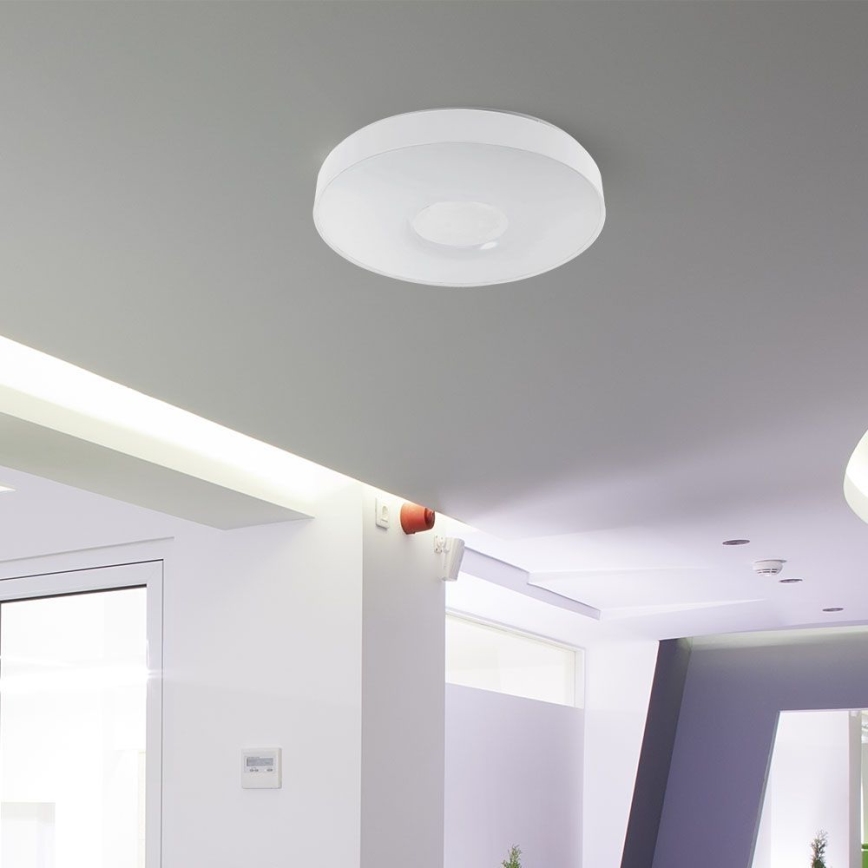 Iluminação de teto LED com regulação LED/60W/230V 3000-6500K 49,5 cm branco + comando