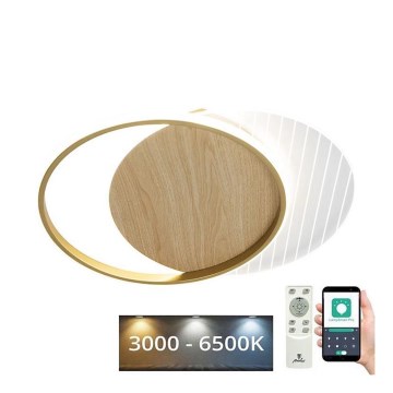 Iluminação de teto LED com regulação LED/60W/230V 3000-6500K + comando
