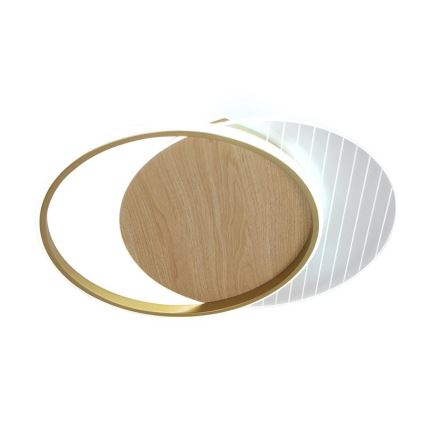 Iluminação de teto LED com regulação LED/60W/230V 3000-6500K + comando