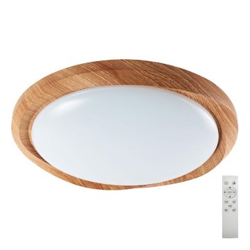 Iluminação de teto LED com regulação LED/60W/230V 3000-6500K + comando