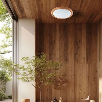 Iluminação de teto LED com regulação LED/60W/230V 3000-6500K + comando