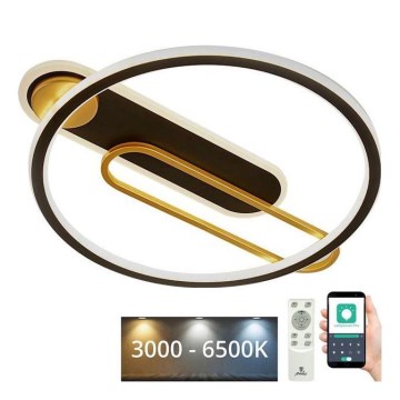 Iluminação de teto LED com regulação LED/60W/230V 3000-6500K preto + comando