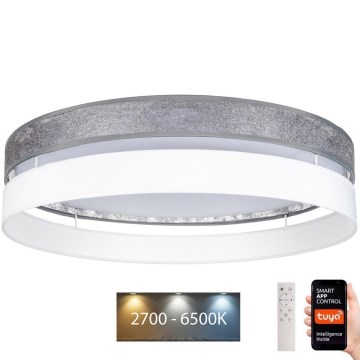 Iluminação de teto LED com regulação LIMA LED/36W/230V 2700-6500K Wi-Fi Tuya + controlo remoto prateado/branco