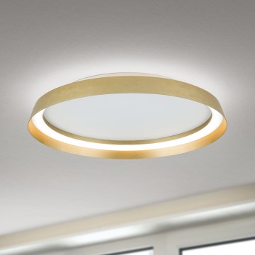 Iluminação de teto LED com regulação MANTA LED/38W/230V 2700/3000/4000K diâmetro 45 cm dourado