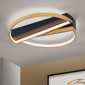 Iluminação de teto LED com regulação OLGA LED/28W/230V dourado/preto