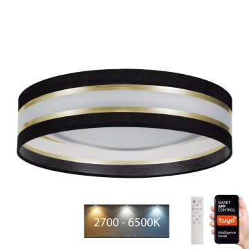 Iluminação de teto LED com regulação SMART CORAL LED/24W/230V Wi-Fi Tuya preto + controlo remoto