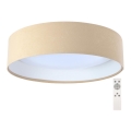 Iluminação de teto LED com regulação SMART GALAXY LED/24W/230V bege/branco 3000-6500K + CR
