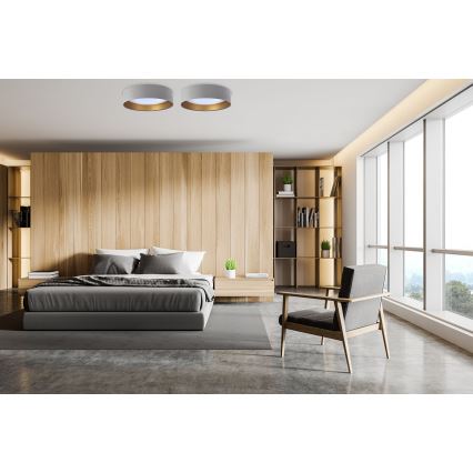 Iluminação de teto LED com regulação SMART GALAXY LED/24W/230V cinzento/dourado 3000-6500K + CR