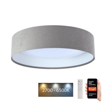 Iluminação de teto LED com regulação SMART GALAXY LED/24W/230V d. 45 cm 2700-6500K Wi-Fi Tuya cinzento/branco + controlo remoto