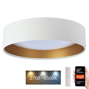 Iluminação de teto LED com regulação SMART GALAXY LED/36W/230V d. 55 cm 2700-6500K Wi-Fi Tuya branco/dourado + controlo remoto