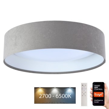 Iluminação de teto LED com regulação SMART GALAXY LED/36W/230V d. 55 cm 2700-6500K Wi-Fi Tuya cinzento/branco + controlo remoto