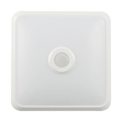 Iluminação de teto LED com sensor SAMSUNG CHIP LED/12W/230V 3000/4000/6000K branco