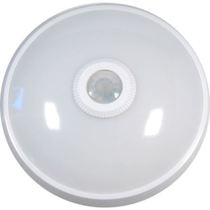 Iluminação de teto LED com sensor LED/12W/230V