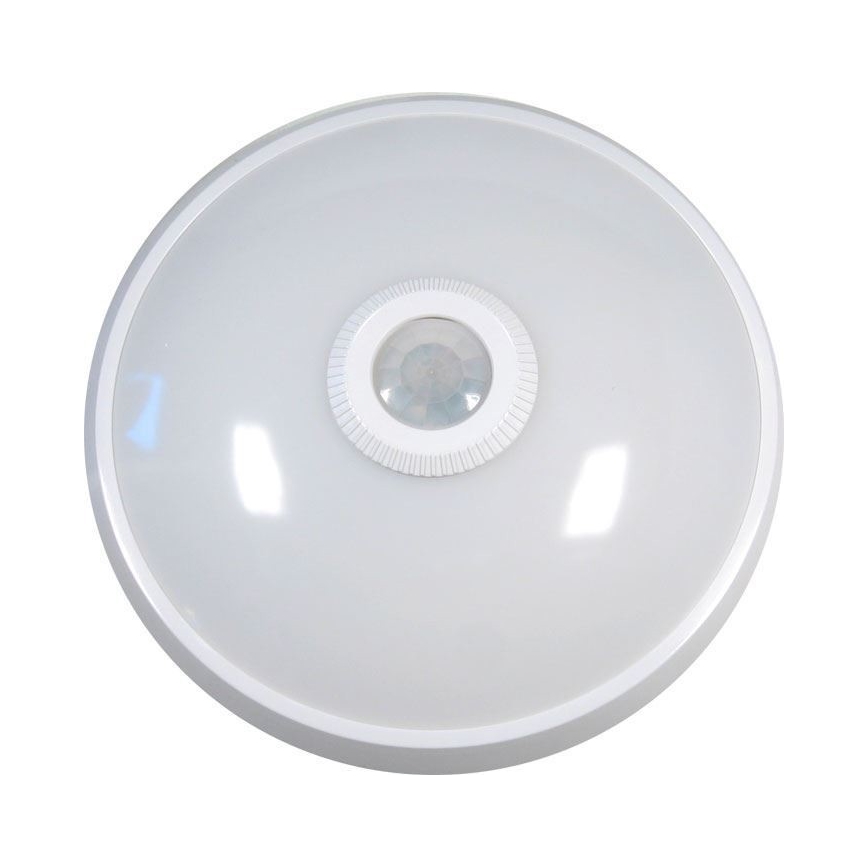 Iluminação de teto LED com sensor LED/12W/230V