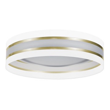 Iluminação de teto LED CORAL GOLD 1xLED/24W/230V branca/dourada