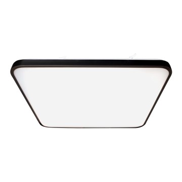 Iluminação de teto LED FABIO LED/35W/230V preto